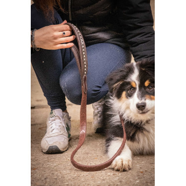 Laisse chien Pénélope Rubber Havane Marron Laisse chien Pénélope Rubber Havane Marron