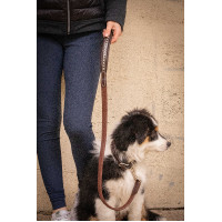 Laisse chien Pénélope Rubber Havane Marron Laisse chien Pénélope Rubber Havane Marron