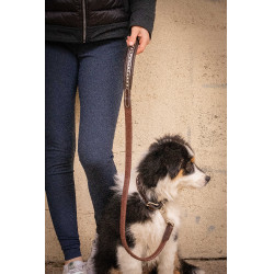 Laisse chien Pénélope Rubber Havane Marron Laisse chien Pénélope Rubber Havane Marron