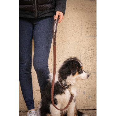 Laisse chien Pénélope Rubber Havane Marron Laisse chien Pénélope Rubber Havane Marron