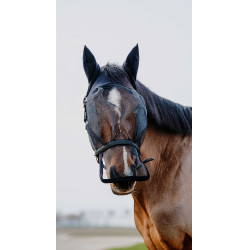 Licol + masque anti UV Equithème Noir