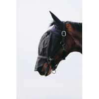 Licol + masque Equithème Noir