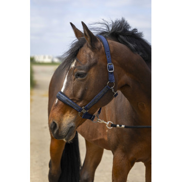 Licol Equithème Nylon Strass Bleu marine