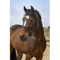 Licol Equithème Nylon Strass Bleu marine