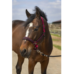 Licol Equithème Nylon Strass Bordeaux