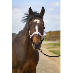 Licol Equithème Nylon Check Marine / rose Bleu