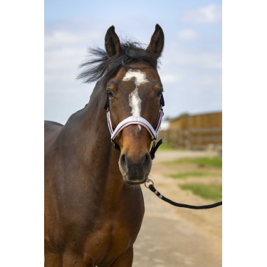 Licol Equithème Nylon Check Marine / rose Bleu