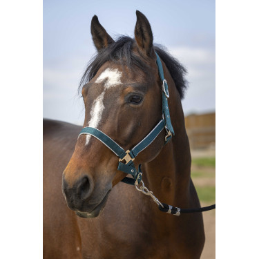 Licol Equithème Nylon light Vert foncé