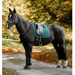 Tapis de dressage Horseware Vert dynastie