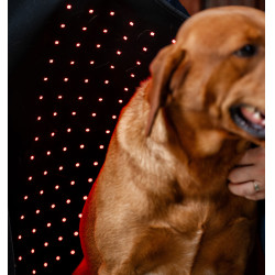 Manteau pour chien de Thérapie Horseware par lumière rouge LED Noir / noir