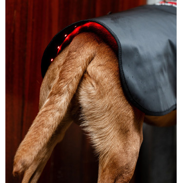 Manteau pour chien de Thérapie Horseware par lumière rouge LED Noir / noir