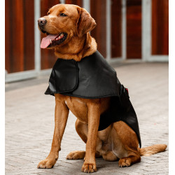 Manteau pour chien de Thérapie Horseware par lumière rouge LED Noir / noir