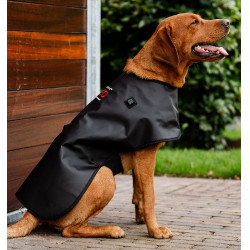 Manteau pour chien de Thérapie Horseware par lumière rouge LED Noir / noir