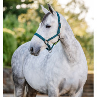 Licol et longe Horseware Vert dynastie