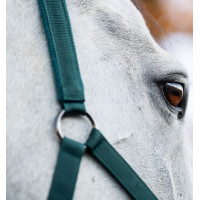Licol et longe Horseware Vert dynastie