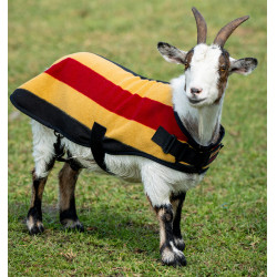 Couverture polaire Horseware Newmarket pour chèvre Or blanc