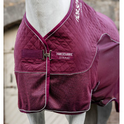 Chemise séchante de transport Horseware Signature Bordeaux