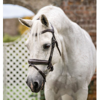 Bridon poney Horseware Flash Noir