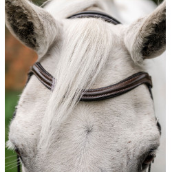 Bridon poney Horseware Flash Marron