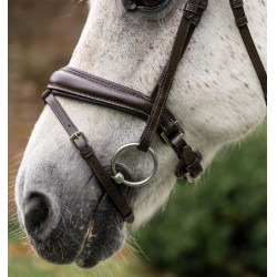 Bridon poney Horseware Flash Marron