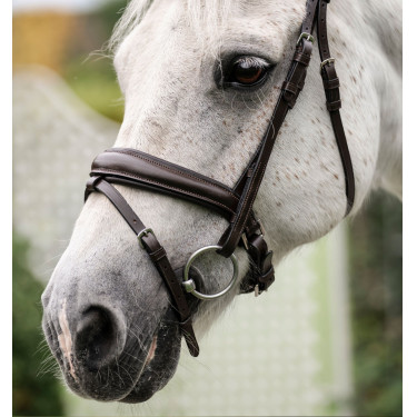 Bridon poney Horseware Flash Marron