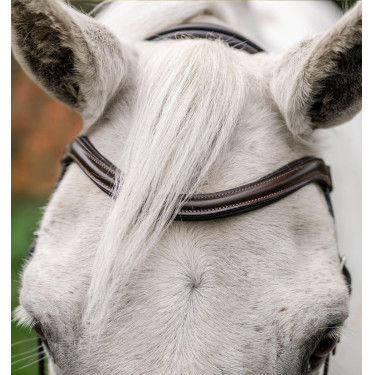 Bridon poney Horseware Flash Marron