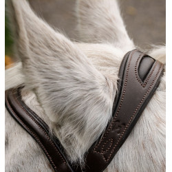Bridon poney Horseware Flash Marron