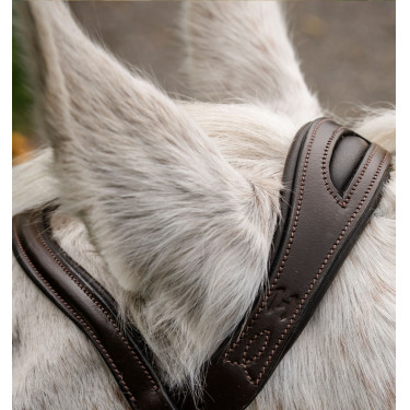 Bridon poney Horseware Flash Marron