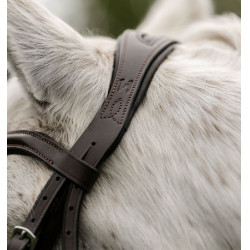 Bridon poney Horseware Flash Marron