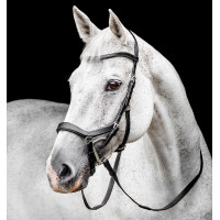 Bridon Horseware Micklem Competition