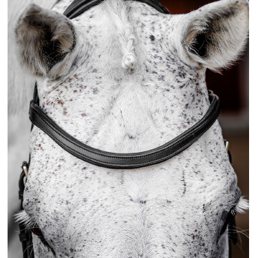 Bridon Horseware Micklem Competition Noir