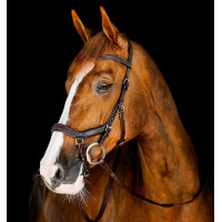Bridon Horseware Micklem Competition Noir