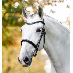 Bridon Horseware Cavesson Noir