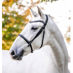 Bridon Horseware Cavesson Noir