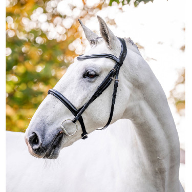 Bridon Horseware Cavesson Noir
