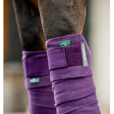 Bandes de polo Horseware Amigo Winterberry Violet