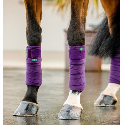 Bandes de polo Horseware Amigo Winterberry Violet