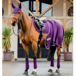Bandes de polo Horseware Amigo Winterberry Violet