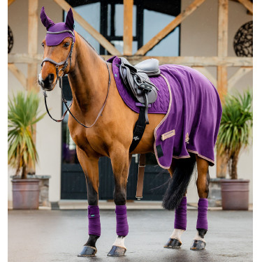 Bandes de polo Horseware Amigo Winterberry Violet