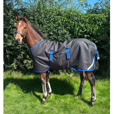 Couverture Horseware Amigo Ripstop 900D Poulain Turnout 50g Noir / bleu classique