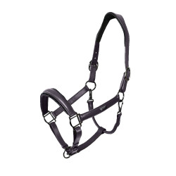 Licol en cuir Equestrian Stockholm anatomic scintillant Violet sombre