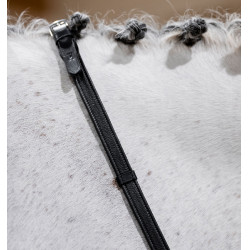 Rênes Horseware de saut avec butées Marron
