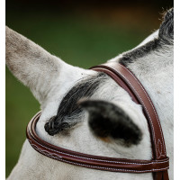 Bridon Horseware Cavesson Hunter avec rênes Marron