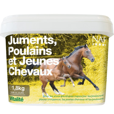 Juments, poulains et jeunes chevaux NAF Juments, poulains et jeunes chevaux NAF