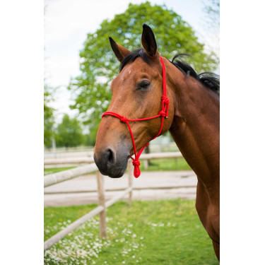 Licol corde first Rouge