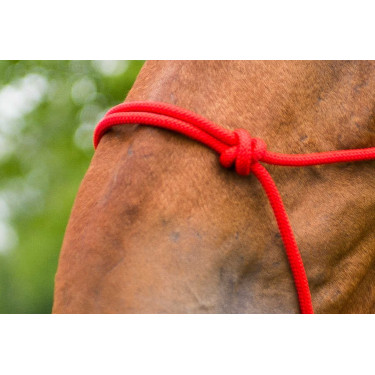 Licol corde first Rouge