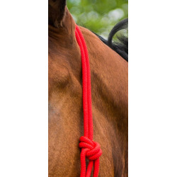 Licol corde first Rouge