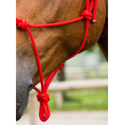 Licol corde first Rouge
