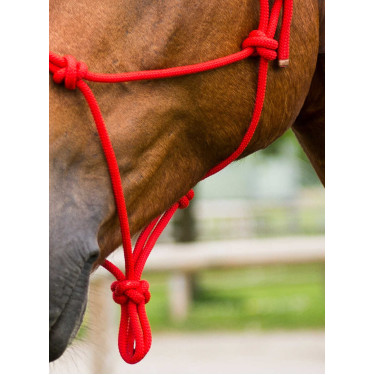 Licol corde first Rouge