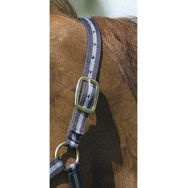 Licol nylon doublé cuir Norton Marine / ciel Bleu